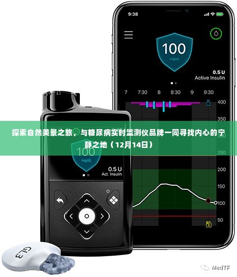 自然探索之旅,与糖尿病监测品牌共赴宁静之地(12月14日)