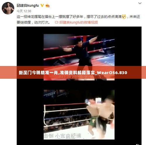 新澳门今晚精准一肖,准确资料解释落实_WearOS6.830