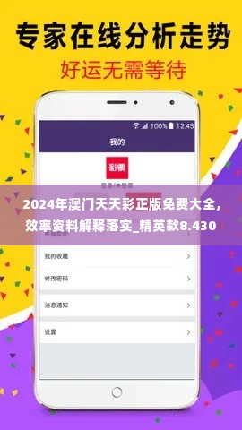 2024年澳门天天彩正版免费大全,效率资料解释落实_精英款8.430