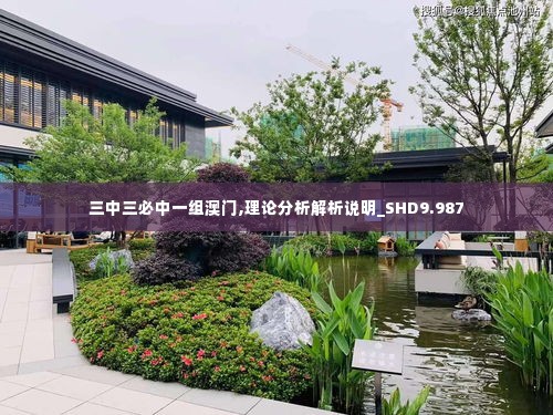 三中三必中一组澳门,理论分析解析说明_SHD9.987