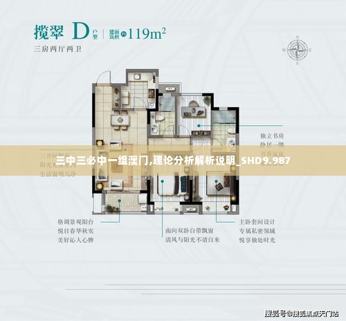 三中三必中一组澳门,理论分析解析说明_SHD9.987