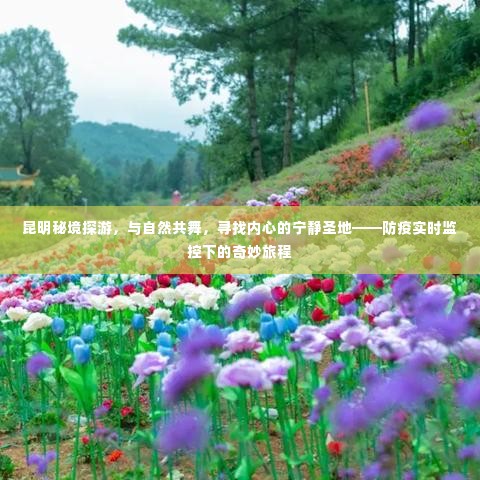 昆明秘境探游,防疫监控下的自然之旅与心灵净化之旅