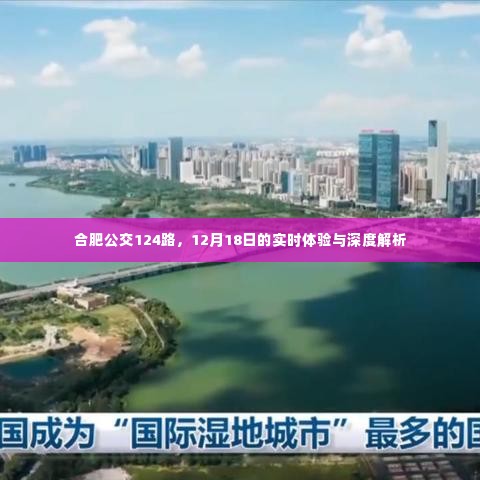 合肥公交124路深度体验与解析,12月18日实时观察