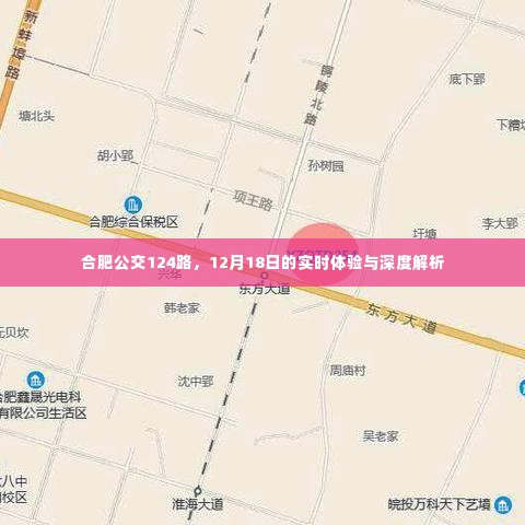 合肥公交124路深度体验与解析,12月18日实时观察