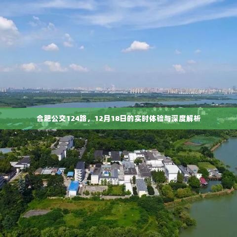 合肥公交124路深度体验与解析,12月18日实时观察