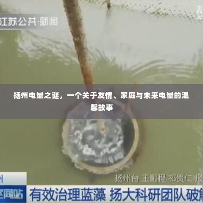 扬州电量之谜,友情、家庭与未来电量的温情故事