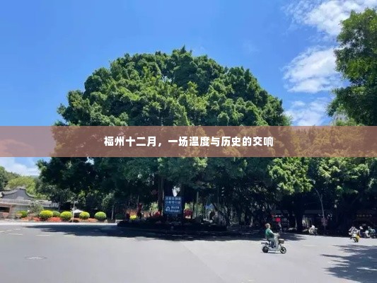 福州十二月,温度与历史的交响乐章
