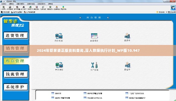 2024年管家婆正版资料查询,深入数据执行计划_WP版10.947