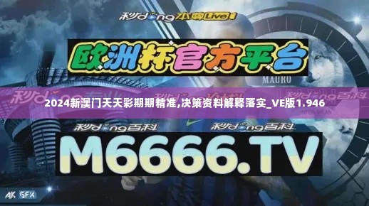 2024新澳门天天彩期期精准,决策资料解释落实_VE版1.946
