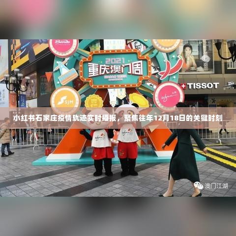 小红书石家庄疫情轨迹实时播报,聚焦去年关键时刻回顾
