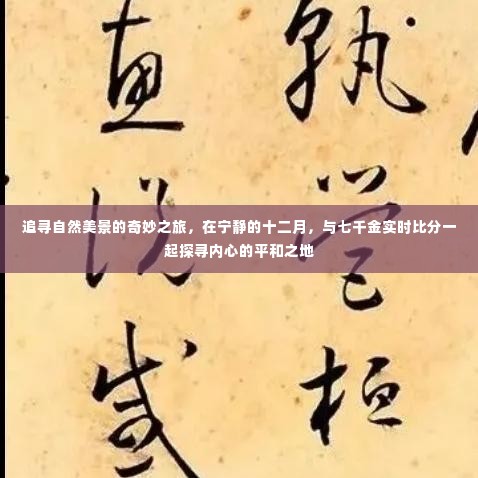 十二月宁静之旅,与自然美景的奇妙邂逅,探寻平和之地与七千金实时比分