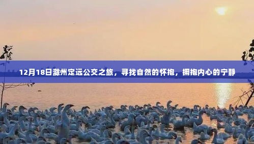 12月18日滁州定远公交之旅,探寻自然之韵,拥抱内心宁静