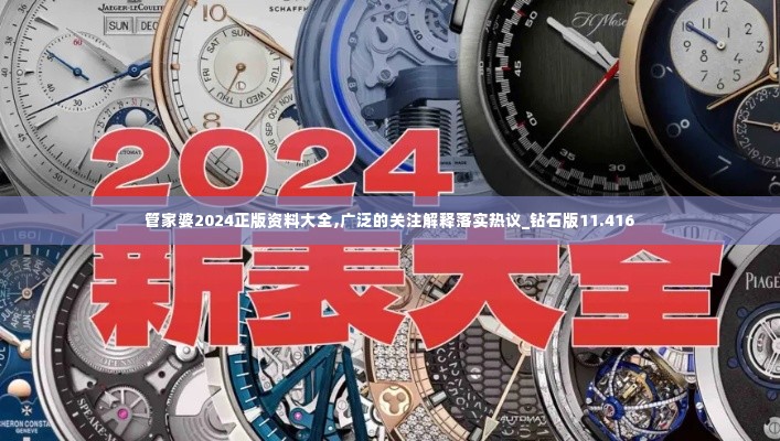 管家婆2024正版资料大全,广泛的关注解释落实热议_钻石版11.416
