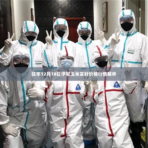 伊犁玉米实时价格行情解析,历年12月18日深度剖析