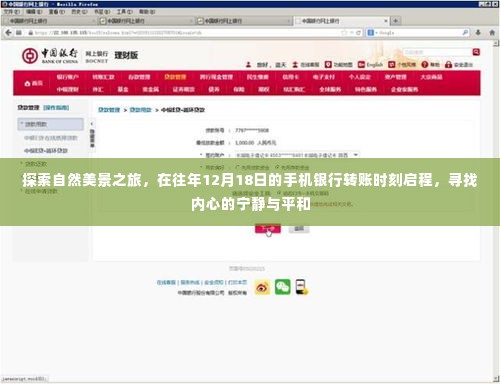 探寻自然美景之旅,手机银行转账日启程,寻找内心宁静与平和的旅程
