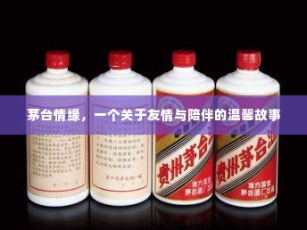 茅台情缘,友情与陪伴的温馨篇章