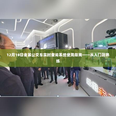 12月18日金寨公交车实时查询系统详解，从新手到熟练的操作指南