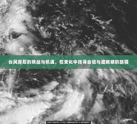 台风背后的挑战与机遇,探寻自信与成就感的旅程