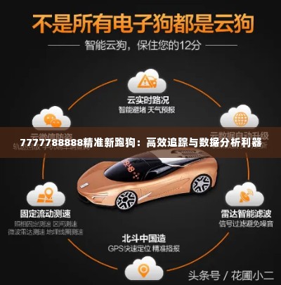 7777788888精准新跑狗:高效追踪与数据分析利器