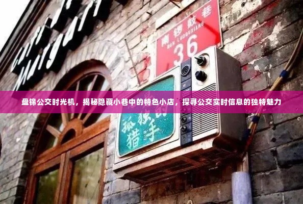 盘锦公交时光机,探寻公交沿线特色小店与实时信息的魅力