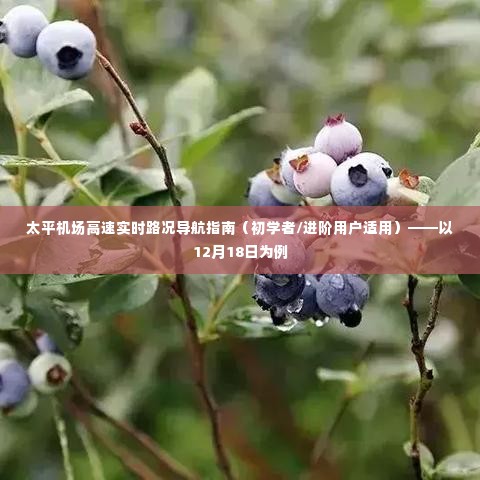 太平机场高速实时路况导航指南,适合初学者与进阶用户的12月18日路况导航