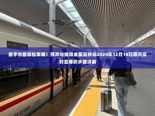 新手指南,金寨高铁站2024年路况实时直播体验与预测详解,掌握轻松出行技巧!