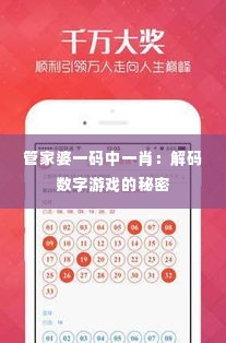 管家婆一码中一肖:解码数字游戏的秘密