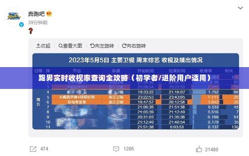 跑男实时收视率查询攻略,初学者与进阶用户通用指南