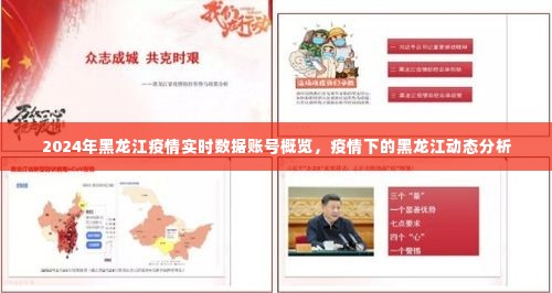 黑龙江疫情实时数据账号概览,疫情动态分析与展望