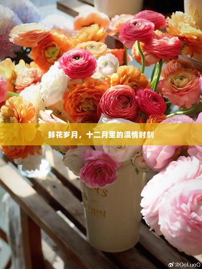 十二月温情时刻,鲜花岁月里的甜蜜记忆