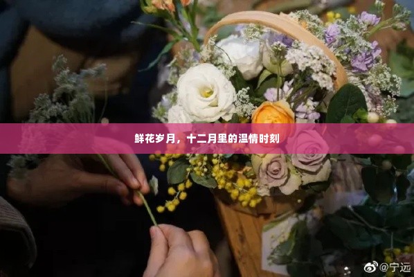 十二月温情时刻,鲜花岁月里的甜蜜记忆
