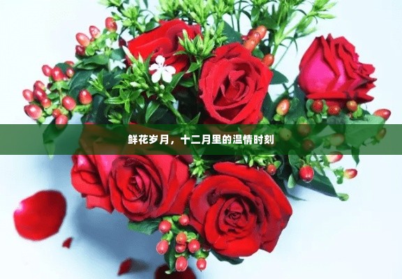 十二月温情时刻,鲜花岁月里的甜蜜记忆
