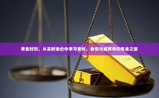 黄金时刻,实时金价变化中的自信与成就感炼金之旅