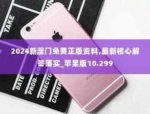 2024新澳门免费正版资料,最新核心解答落实_苹果版10.299