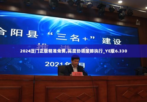 2024澳门正版精准免费,高度协调策略执行_YE版6.330