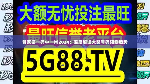 管家婆一码中一肖2024:深度解读大奖号码预测趋势
