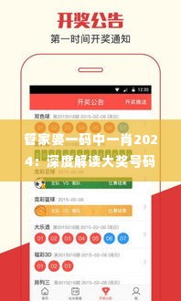管家婆一码中一肖2024:深度解读大奖号码预测趋势