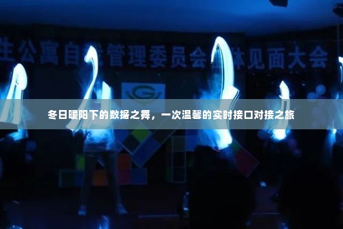 冬日暖阳下的数据共舞,实时接口对接的温馨之旅