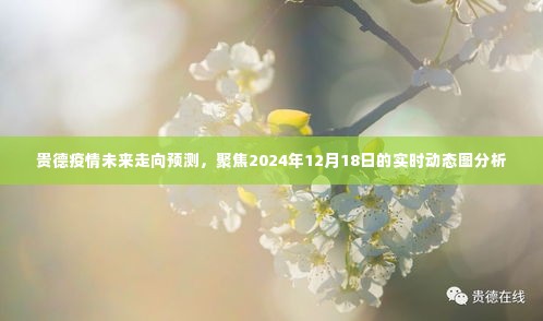 贵德疫情未来走向预测,聚焦实时动态图分析至2024年12月18日