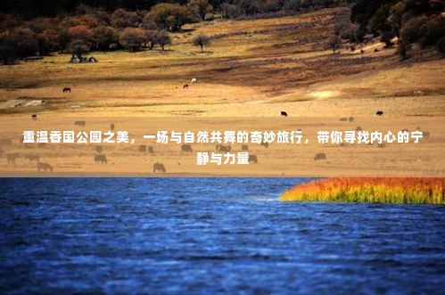 香国公园之旅,与自然共舞,探寻内心的宁静与力量