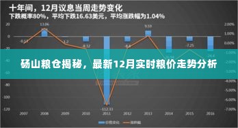 砀山粮仓最新揭秘,12月实时粮价走势分析