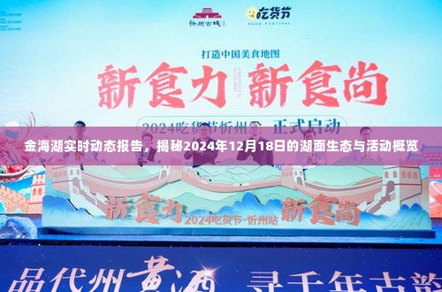 金海湖实时动态报告,揭秘湖面生态与活动概览(XXXX年XX月XX日)