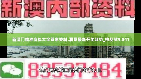 新澳门精准资料大全管家婆料,洞察最新开奖趋势_挑战款9.541