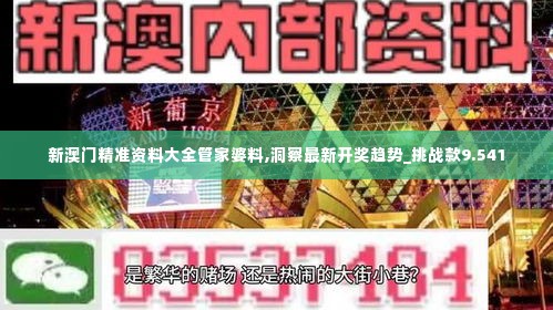 新澳门精准资料大全管家婆料,洞察最新开奖趋势_挑战款9.541