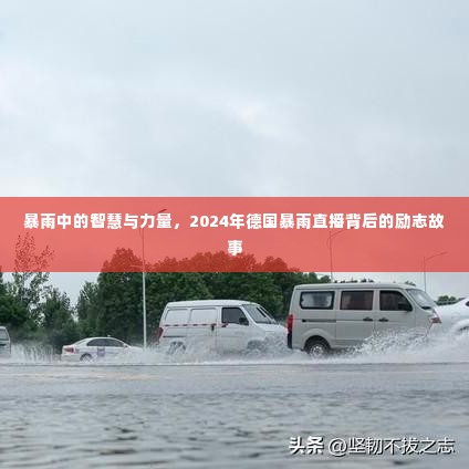 暴雨直播背后的智慧与力量,德国暴雨中的励志故事 2024年回顾