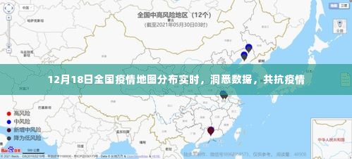 全国疫情地图实时分布,数据洞悉,共抗疫情