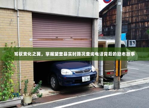 驾驭变化之翼,望奎县实时路况查询电话背后的励志之旅