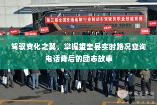 驾驭变化之翼,望奎县实时路况查询电话背后的励志之旅