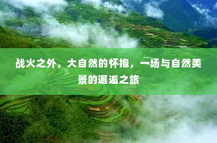 鸢飞鱼跃 第3页