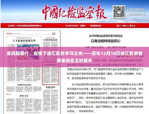 逆风破浪,徐汇区学习之光闪耀——历年疫情动态实时解析报告
